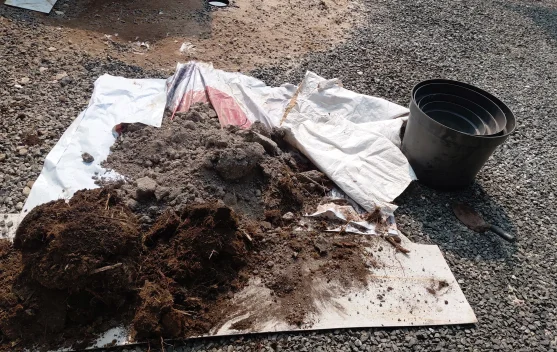 Campuran Tanah Subur dan Pupuk, Kunci Menyiapkan Media Tanam