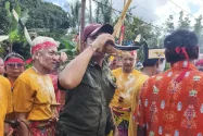 Tradisi Minum Tuak di Tanduk Kerbau, Simbol Kehormatan dan Kebersamaan Suku Dayak