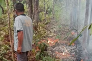 Rumah Dikepung Karhutla, Warga Palangka Raya Sebulan Tak Bekerja