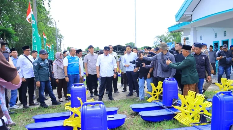 Gubernur Sumsel Tinjau Panen Udang Sungai Menang OKI