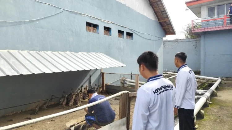 Jalankan Program Asta Cita, Lapas Sekayu Rawat 34 Ekor Itik