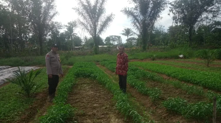 Bhabinkamtibmas Polsek Tungkal Ilir Ajak Warga Sukseskan P2B