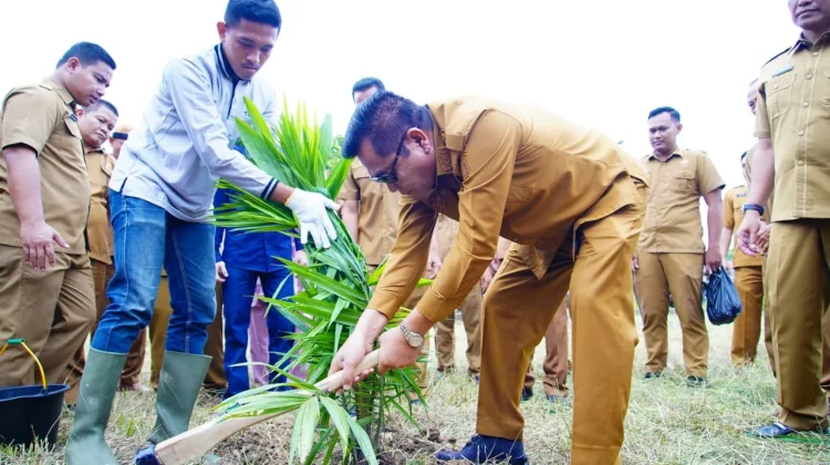 Pemkab Muba Sulap Lahan Tidur Jadi Kebun Produktif