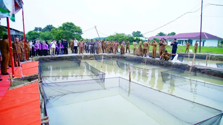 Pemkab Muba Sulap Lahan Tidur Jadi Kebun Produktif