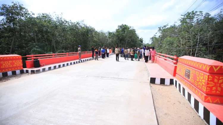 Gubernur Sumsel Resmikan Jembatan Ait Serami OKU