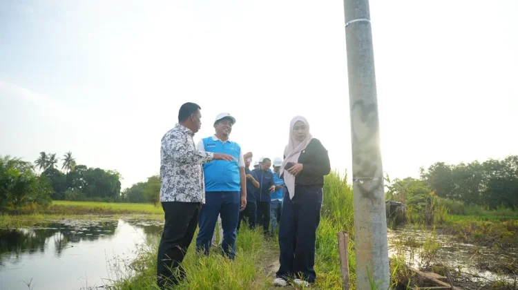 PLN Percepat Listrik Desa Pedamaran OKI
