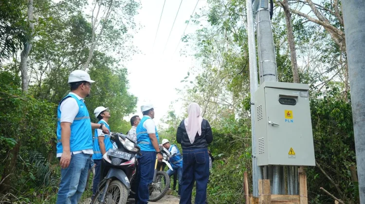 Sinergi Pemerintah dan PLN Terangi Pedamaran