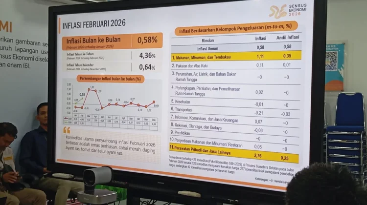 Kenaikan Harga Cabai dan Ikan jadi Pemicu Inflasi di Sumsel