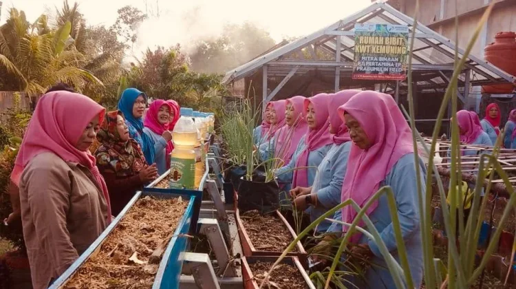 Lahan Tidur, Menjadi Harapan KWT Kemuning Tumbuhkan Kemandirian Pangan