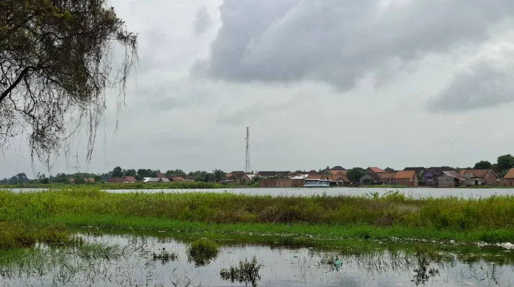 Lebak Pedamaran Jadi Sumber Kehidupan Warga Ogan Komering Ilir