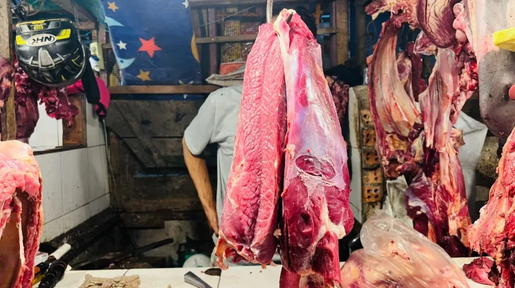 Peternak Pastikan Stok Sapi Aman jelang Idulfitri
