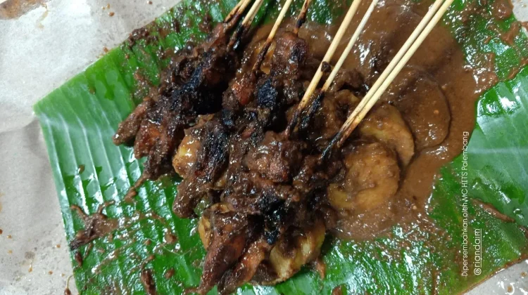Amankah Sate Dikonsumsi Ibu Hamil, Ini Faktanya