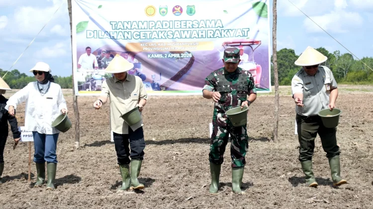 Harapan Kedaulatan Pangan RI, Korem 044/Gapo Tanam Padi di Lahan CSR