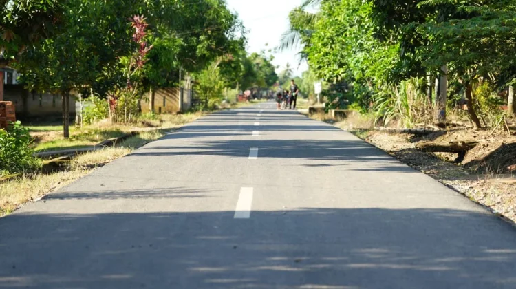 Gubernur Sumsel Resmikan Jalan, Dorong Ekonomi Banyuasin