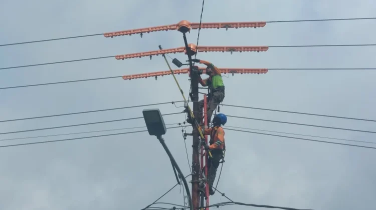 PLN Pasang CLD tanpa Padam Tingkatkan Keandalan Listrik Prabumulih