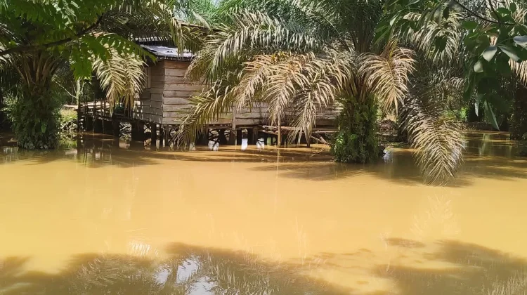 Luapan Dua Sungai Akibatkan Banjir di Kecamatan Bayung Lencir