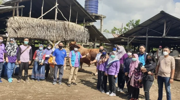 Pengawasan Kurban Terbatas, Risiko Kesehatan Mengintai