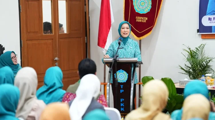 PKK Sumsel Ajak Perempuan Ogan Ilir Aktif Berwirausaha