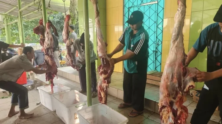 Pemotongan Hewan Kurban Wajib Penuhi Standar Higienis