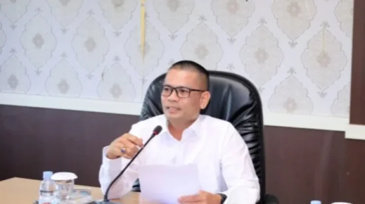 OKU Selatan Siap Sukseskan Hari Posyandu Nasional