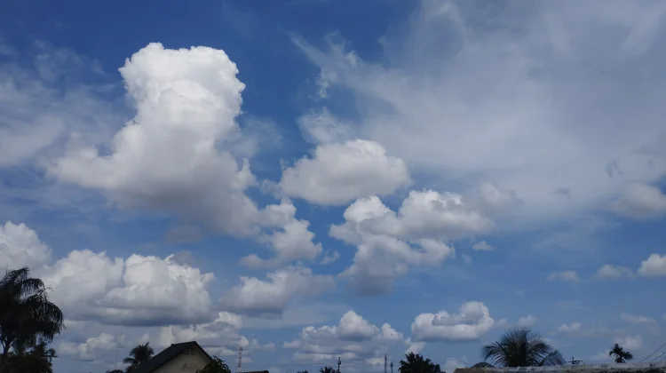 Awan Cumulus: Pengertian, Ciri-ciri, dan Potensi Bahayanya