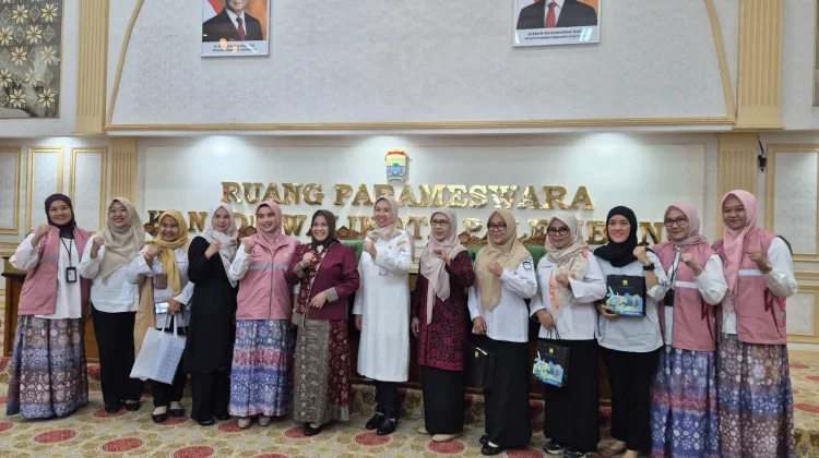 Perempuan Palembang Tingkatkan Literasi Digital Energi lewat PLN Mobile