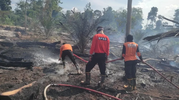 Muba Tetapkan Status Siaga Karhutla Sampai 30 Novemeber
