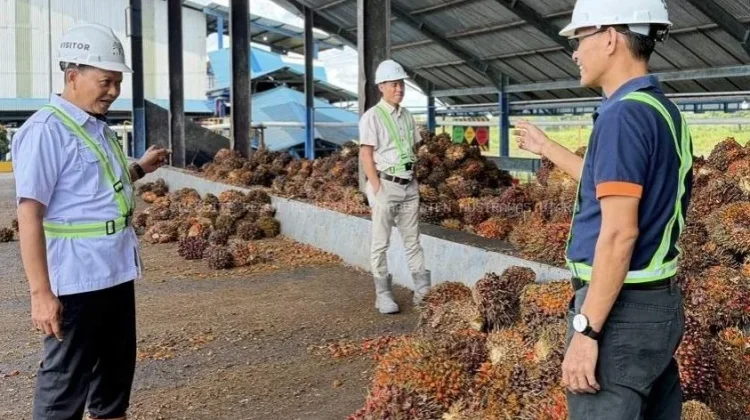 Disperindagkop Muratara Awasi Kegiatan Industri PT Dendy Marker Indah Lestari