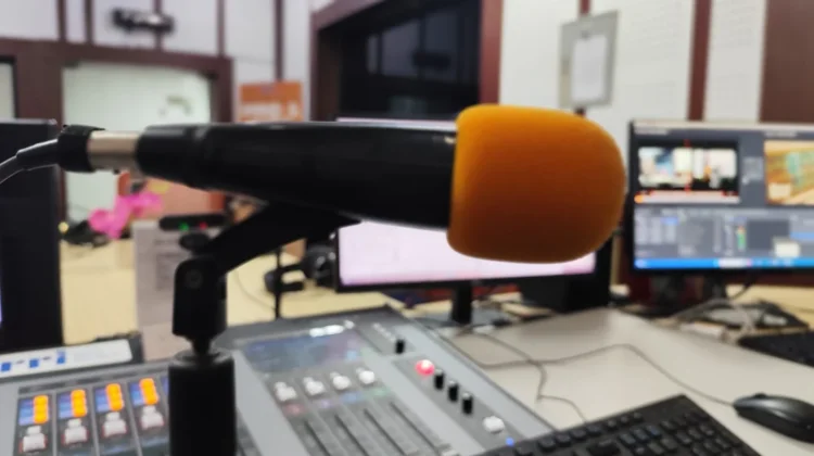 Microphone Condenser Dynamic, Harus Pilih Mana?