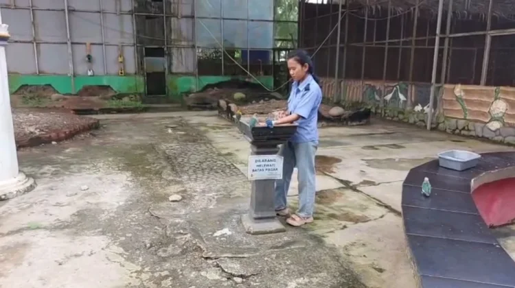 Palembang Bird Park Jadi Pilihan Liburan Keluarga Edukatif