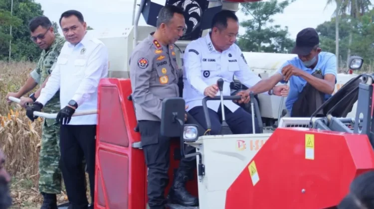 Panen Raya Jagung OKU Selatan Dukung Swasembada Pangan