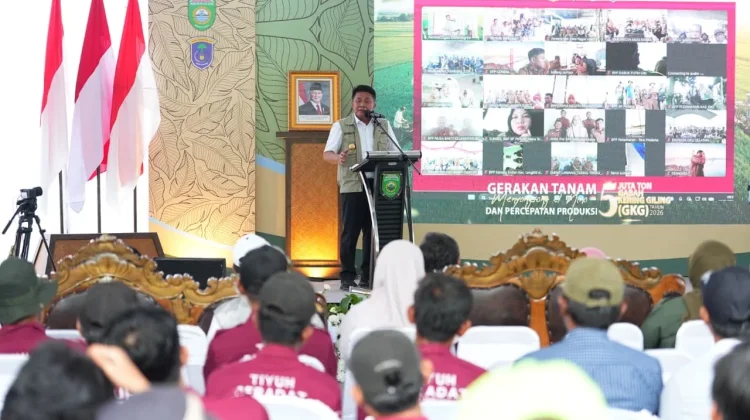 Sumsel Genjot Tanam Serentak Hadapi El Nino