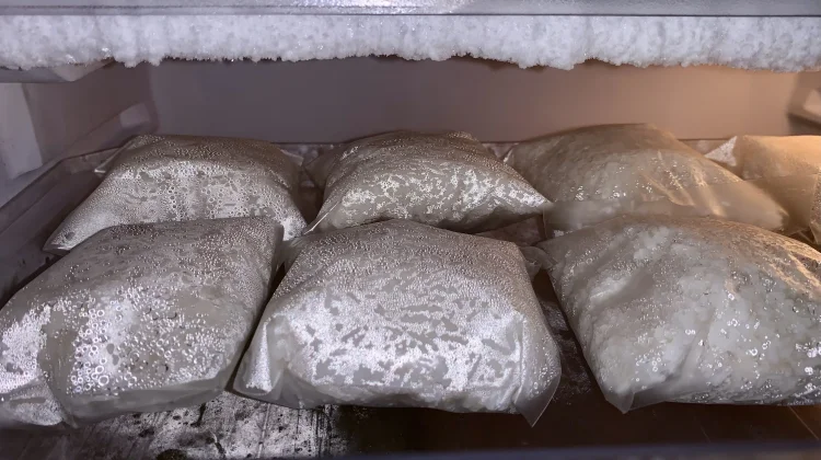 Cara yang Benar Menyimpan Nasi di Freezer
