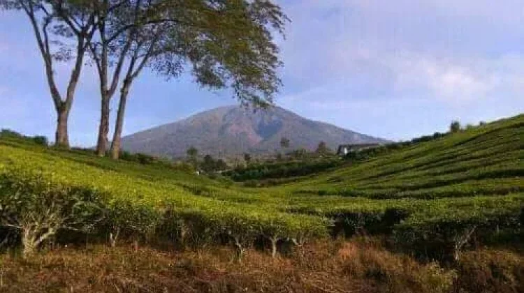 Aktivitas Vulkanik Menurun, Jalur Pendakian Gunung Dempo Dibuka