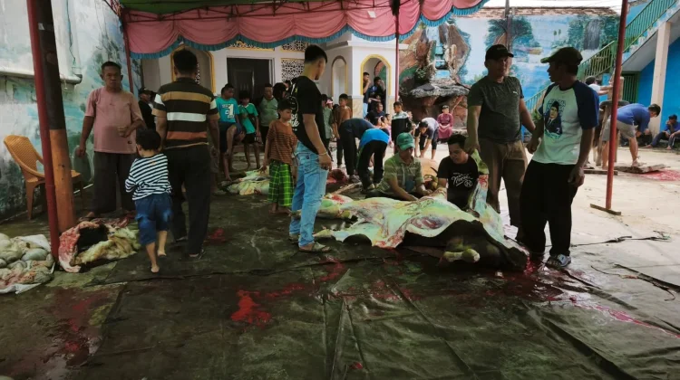 Antusiasme Warga Berkurban di Masjid Nurul, Sapta Marga Meningkat