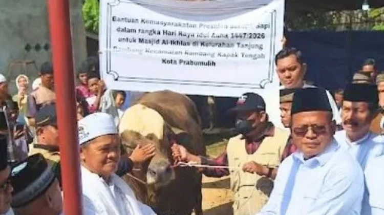 Wako Prabumulih Serahkan Sapi Presiden di Kelurahan Tanjung Rambang