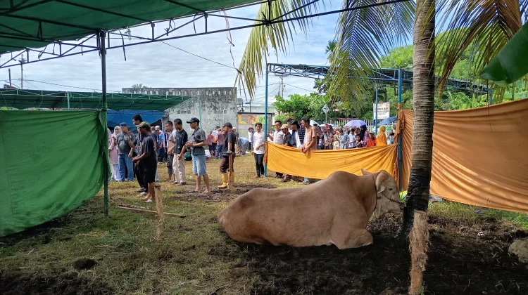 Masjid Nurul Huda Margoyoso Bagikan 636 Kupon Daging Kurban Idul Adha
