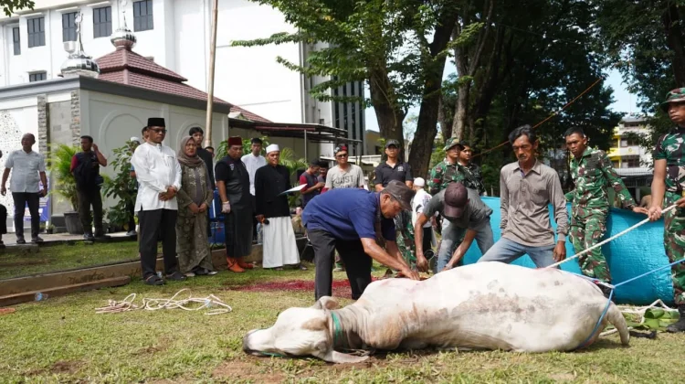 Pangdam Sriwijaya Serahkan Hewan Kurban, Pererat Kebersamaan Iduladha