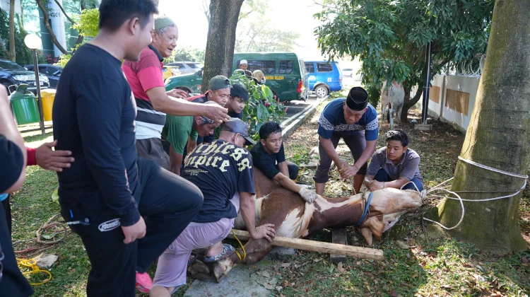 Kejati Sumsel Bagikan 1.000 Paket Daging Kurban untuk Warga dan Panti Asuhan