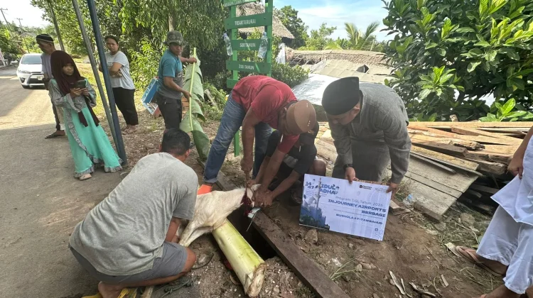 Bandara SMB II Berbagi Hewan Kurban untuk Masyarakat