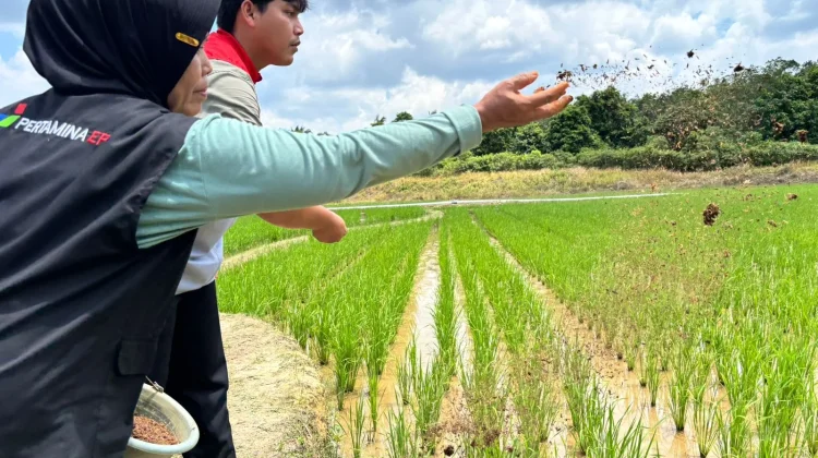 Program Punjangga Angkat Kesejahteraan Petani PALI