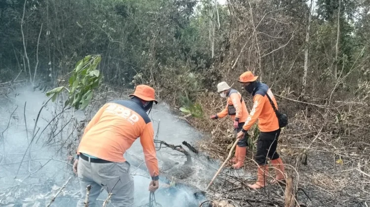 Ribuan Titik Panas Terdeteksi di Sumsel hingga Pertengahan Juni