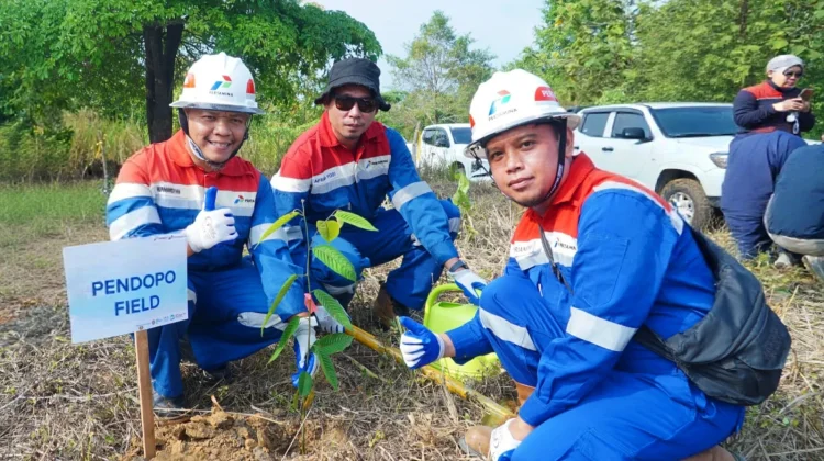 Jaga Jalur Gajah Sumatra, Pertamina EP Zona 4 Tanam Pohon di Musi Rawas