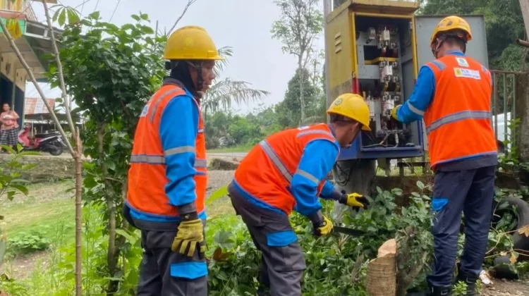 PLN Perkuat Keandalan Listrik Empat Lawang lewat Standarisasi Gardu Distribusi