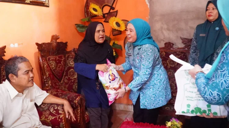 TP PKK Palembang Perluas Pendampingan ODGJ Dukung Program Palembang Sehat