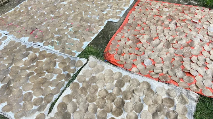 UMKM Kemplang Rumahan Pakjo Satu Dekade Lestarikan Kuliner Khas Palembang