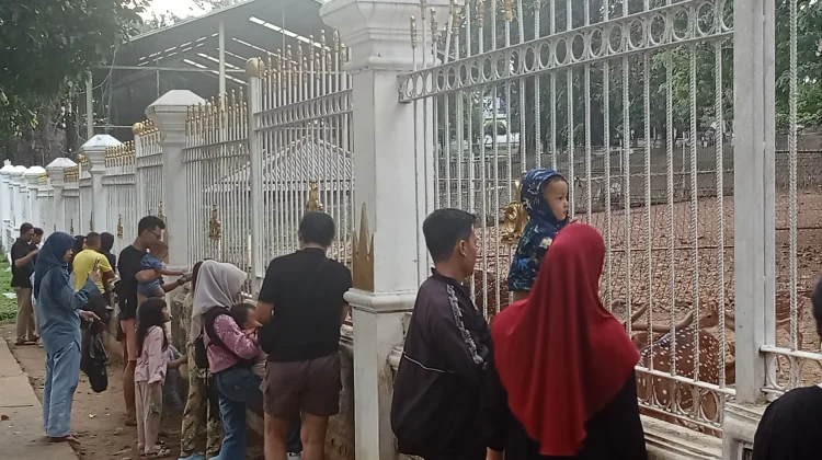 Taman Rusa Griya Agung Hiburan Gratis di Tengah Kota