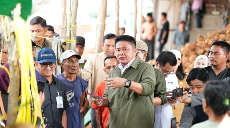 Kelapa Sumsel Tembus Pasar Asia, Gubernur Apresiasi Pengusaha Muda