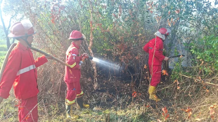 Setelah Dua Hari, Kebakaran Hutan di Muara Enim Berhasil Dipadamkan