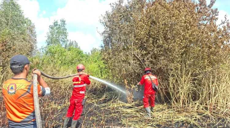 Karhutla Dipadamkan, Petugas Dinginkan Lahan di Desa Tanjung Baru Muara Enim